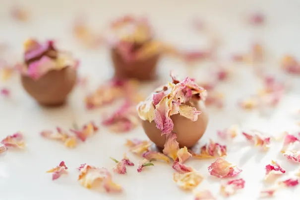 קזינו בלה וגאס אפליקציית Android/iOS